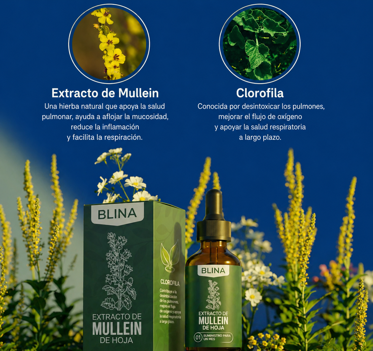 Blina | Detox pulmonar natural para fumadores y ex fumadores
