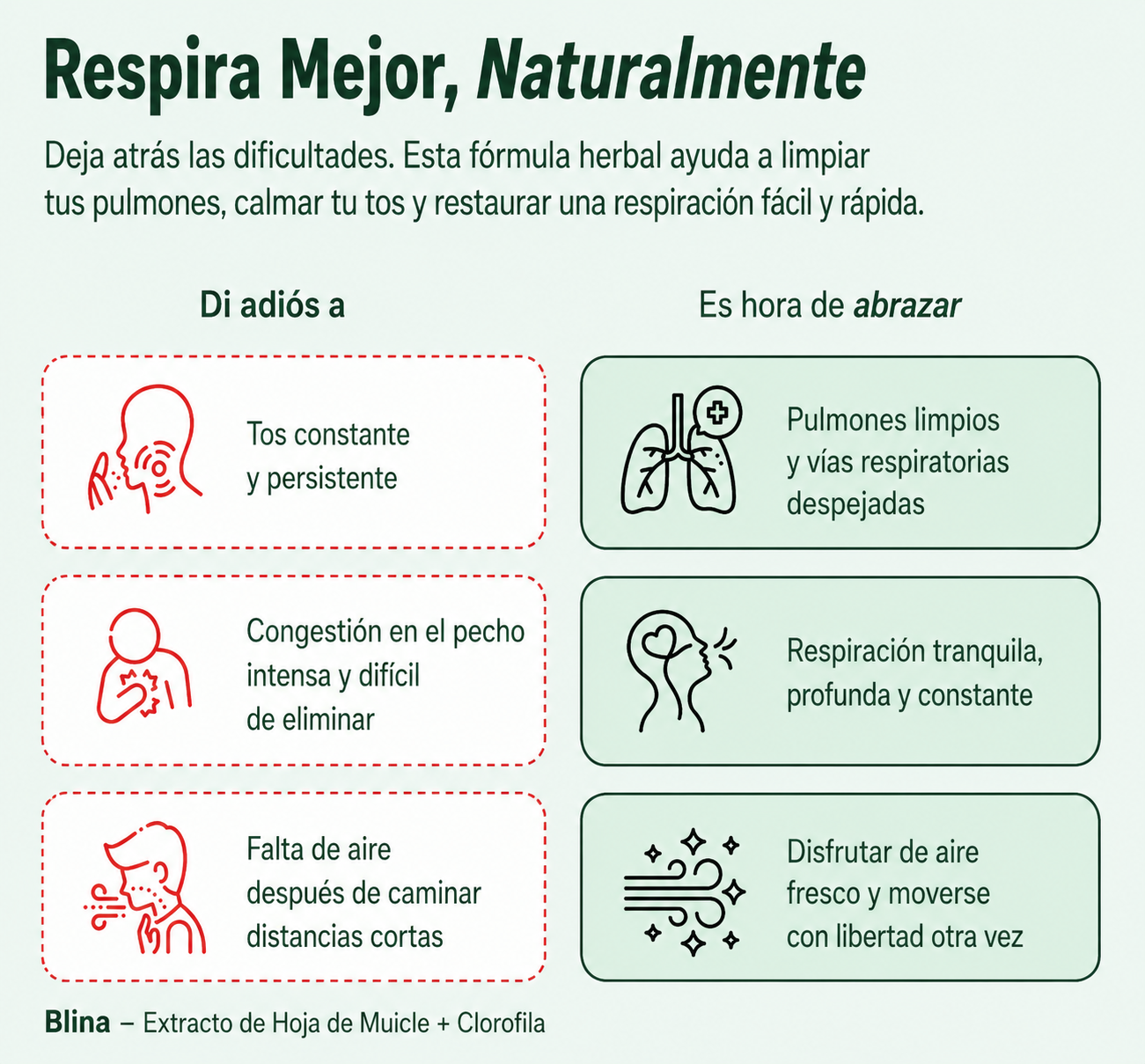 Blina | Detox pulmonar natural para fumadores y ex fumadores