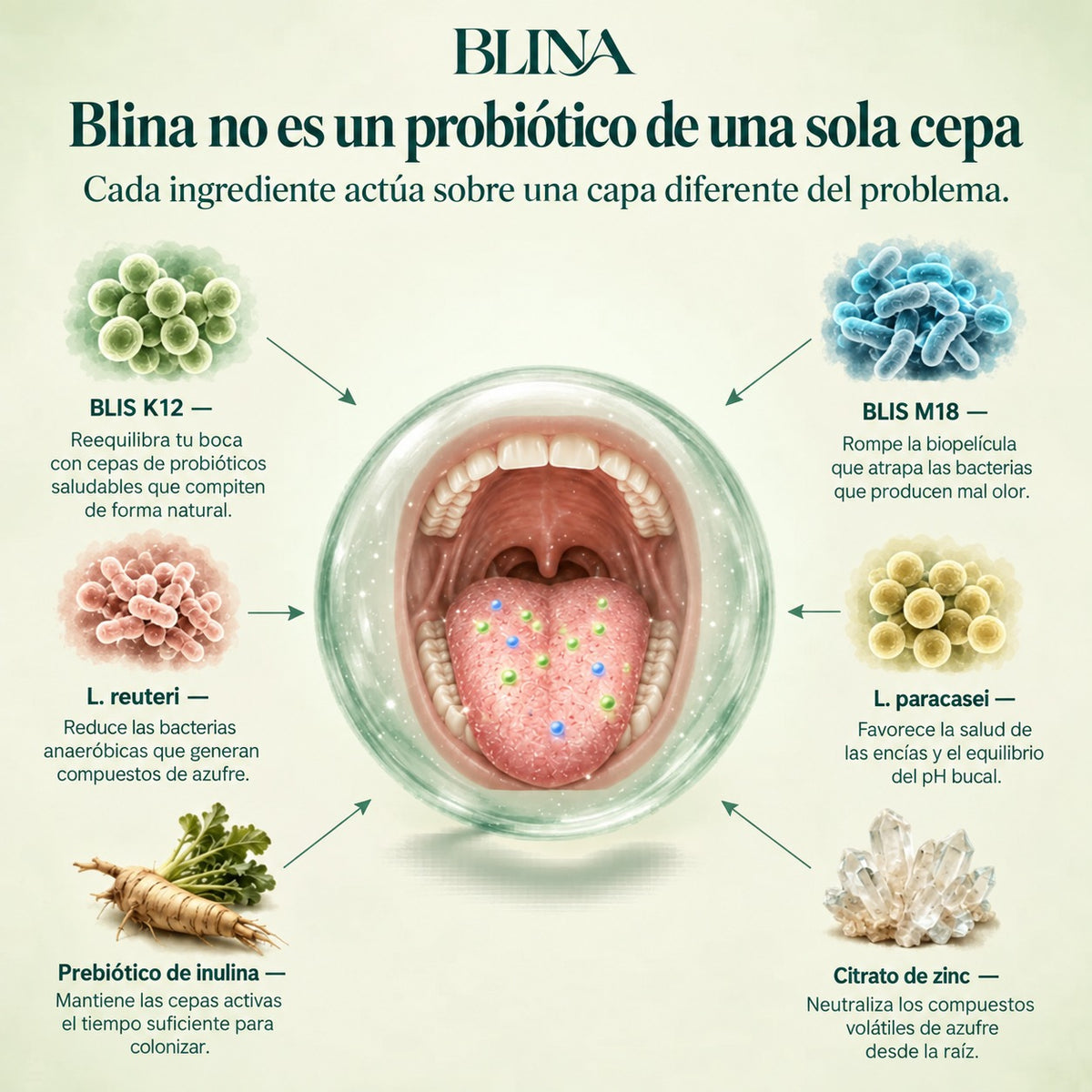 Blina | El probiótico oral que ataca el mal aliento de raíz