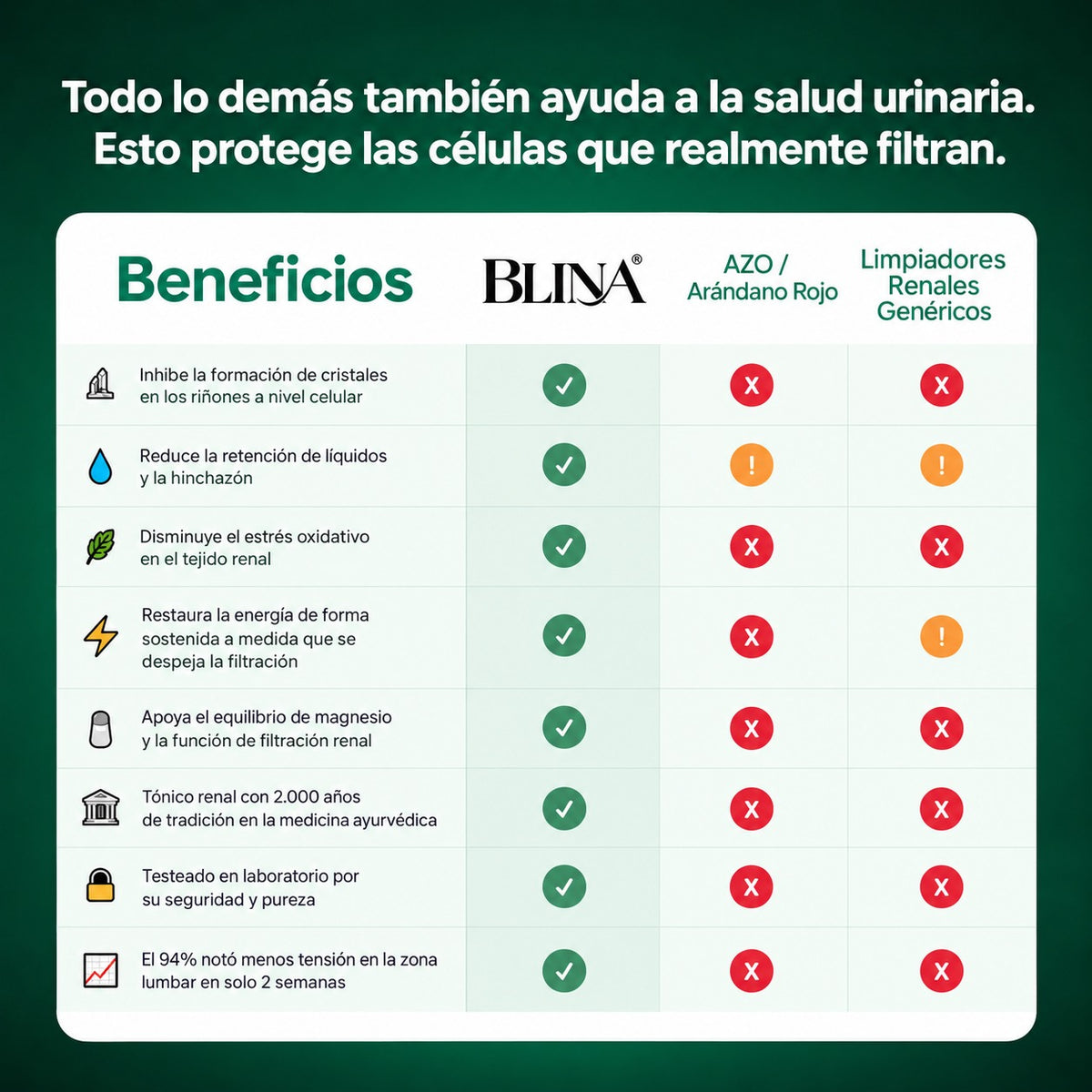 Blina | Desinflamá y activá el drenaje natural de tus riñones